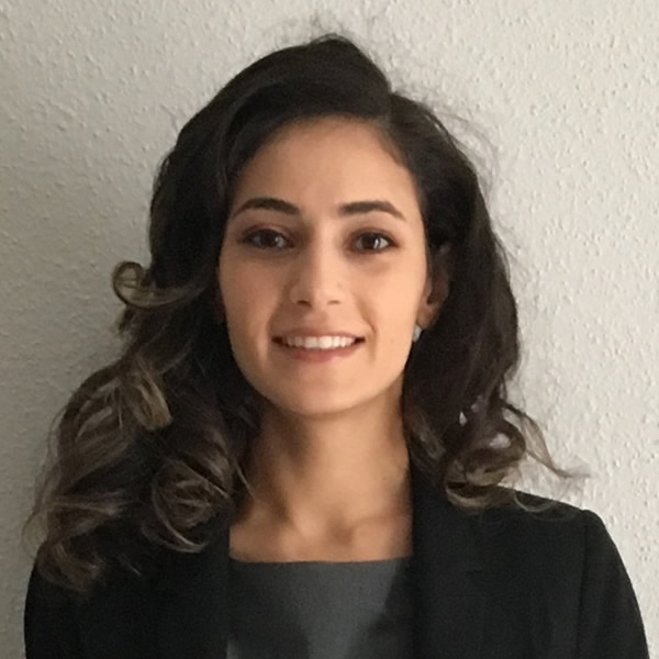 Dina Ibrahim - Arab lawyer in Houston TX